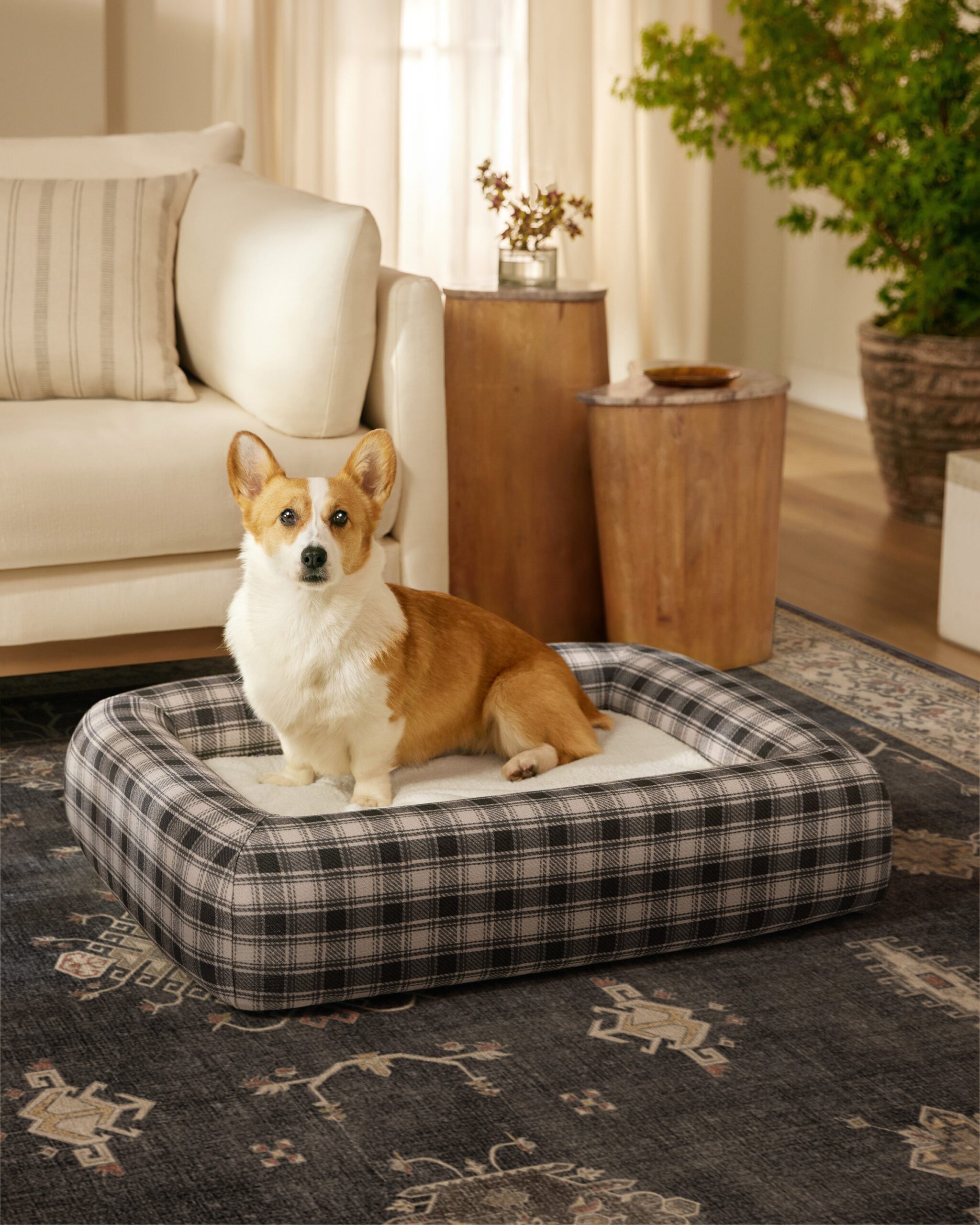bailey-plaid-soft-charcoal-cream-A-RC-PB006-LRG_868acad4-6249-4f3b-bb31-7621b45bf5f5