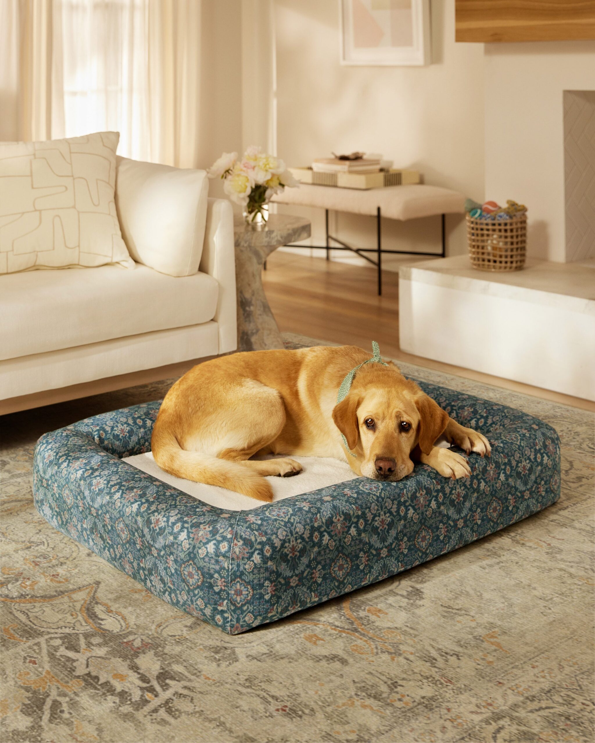 harper-blue-multicolor-A-RC-PB008-LRG_c6fa68bd-1aae-426b-9bd3-b010c4951393
